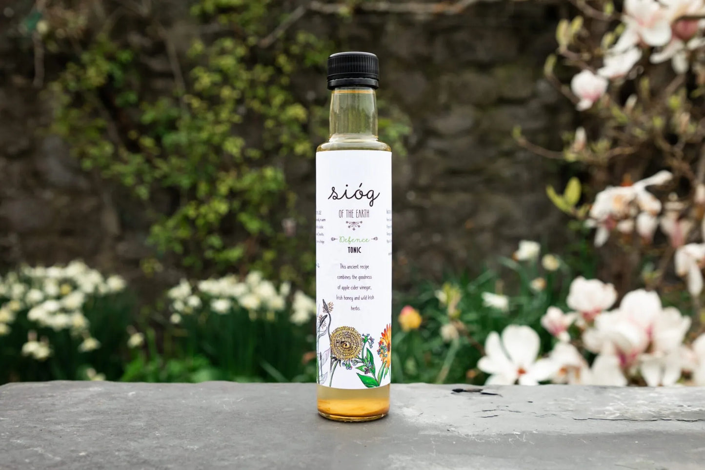 Energy Boost Tonic -Wild Sióg - 250ml bottle