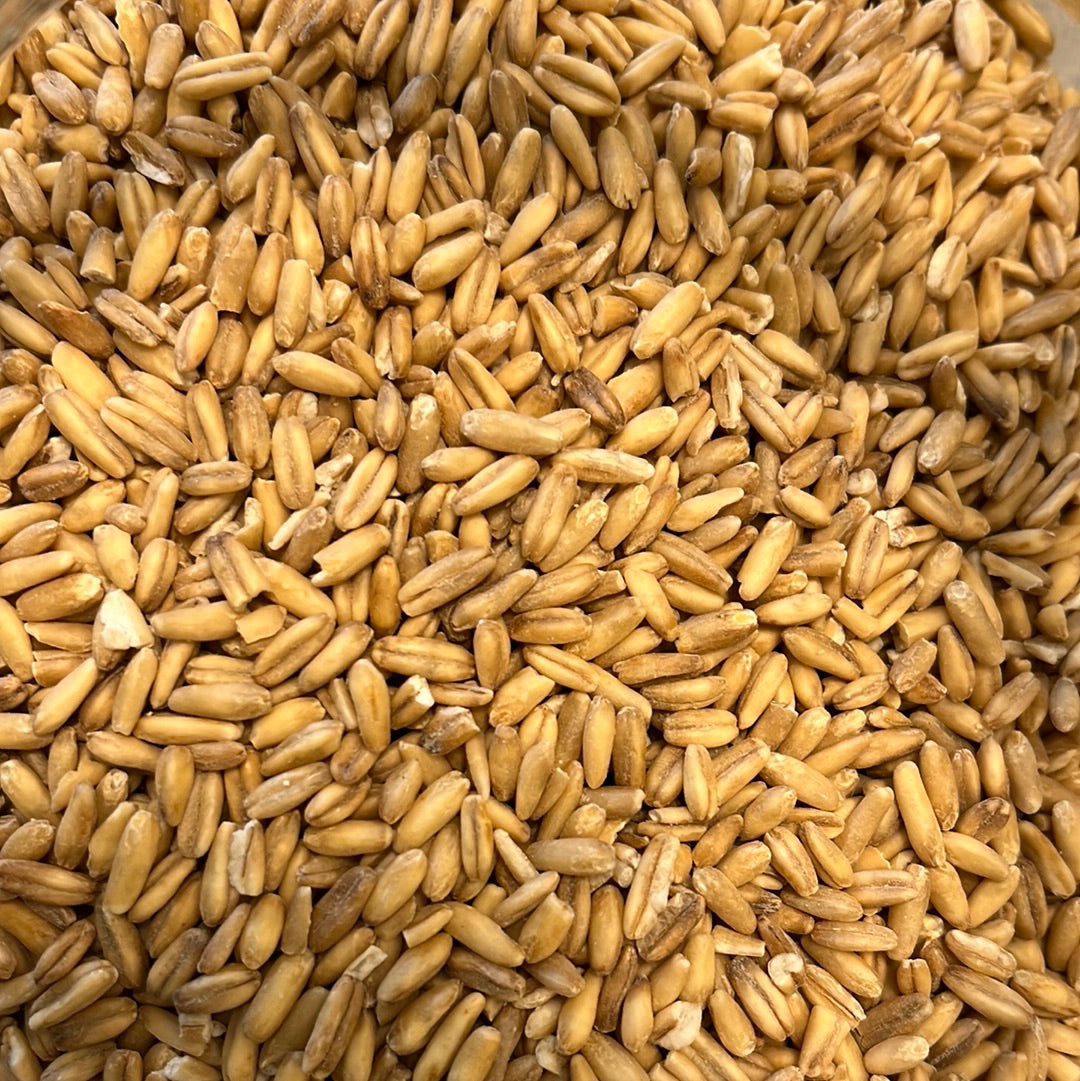 Organic Oat Groats - 100g