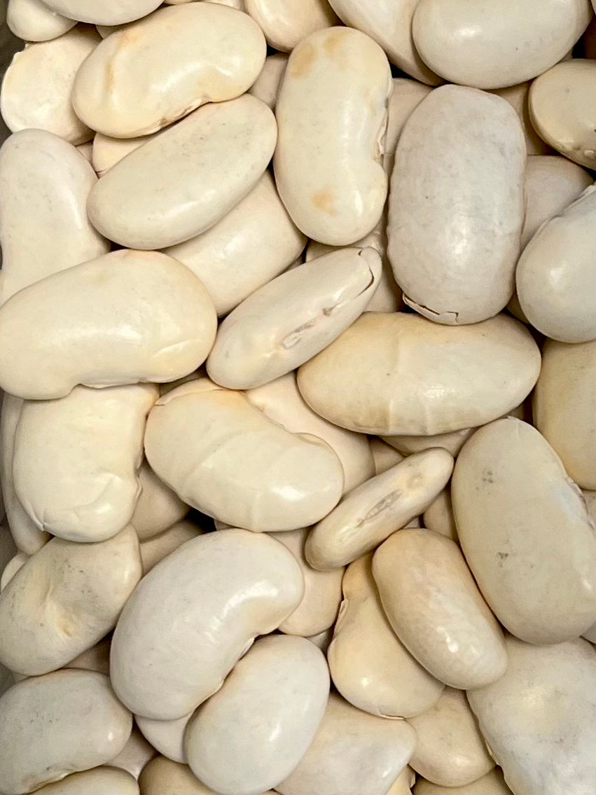 Organic Butter Beans 100g