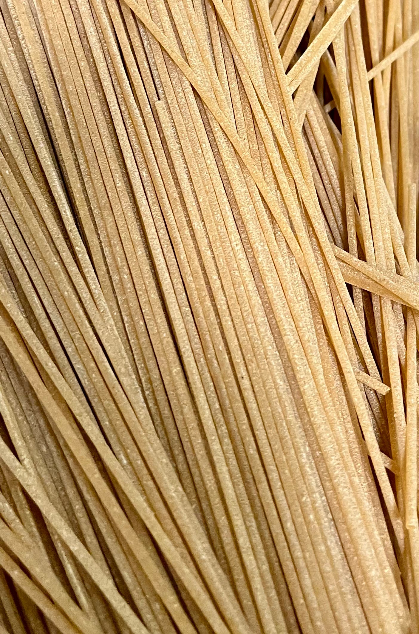 Organic Wholemeal Spaghetti Pasta - 100g