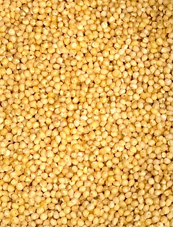 Organic Millet - 100g