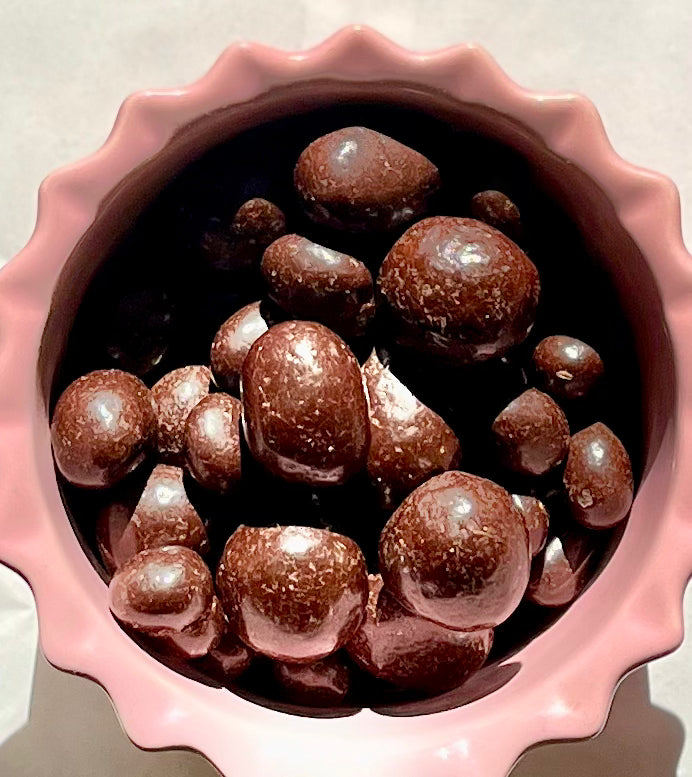 Organic Freeze-dried Amarena Cherries in Dark Chocolate - 100g