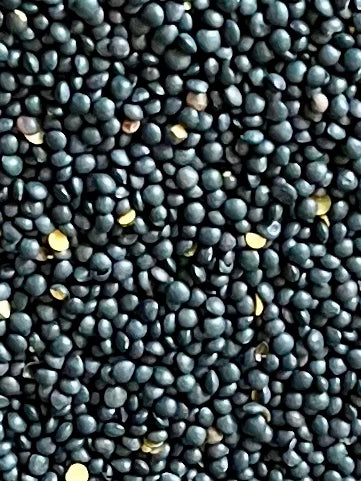 Organic Beluga Lentils - 100g