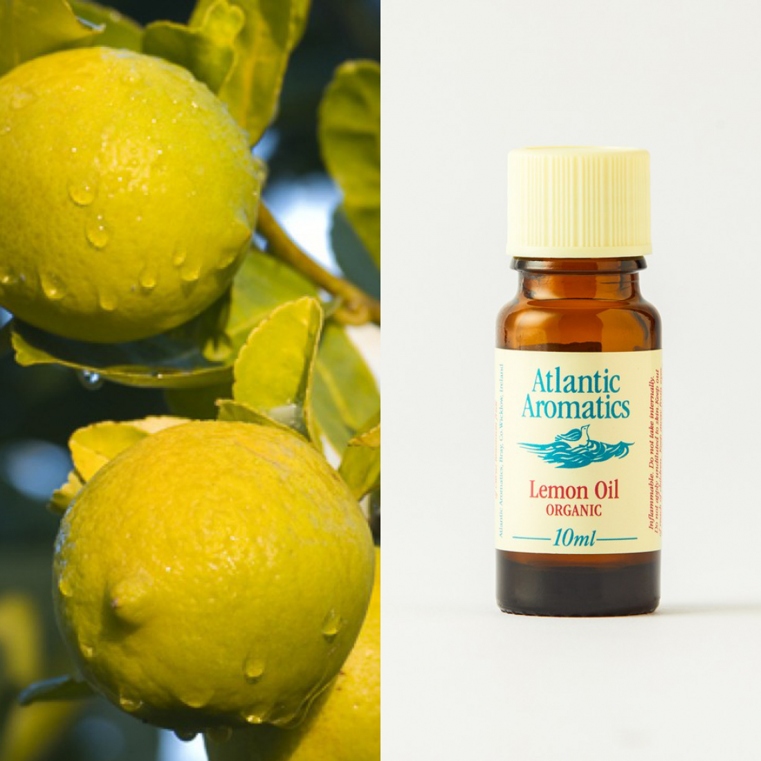 Lemon Essential Oil by Atlantic Aromatics -10ml