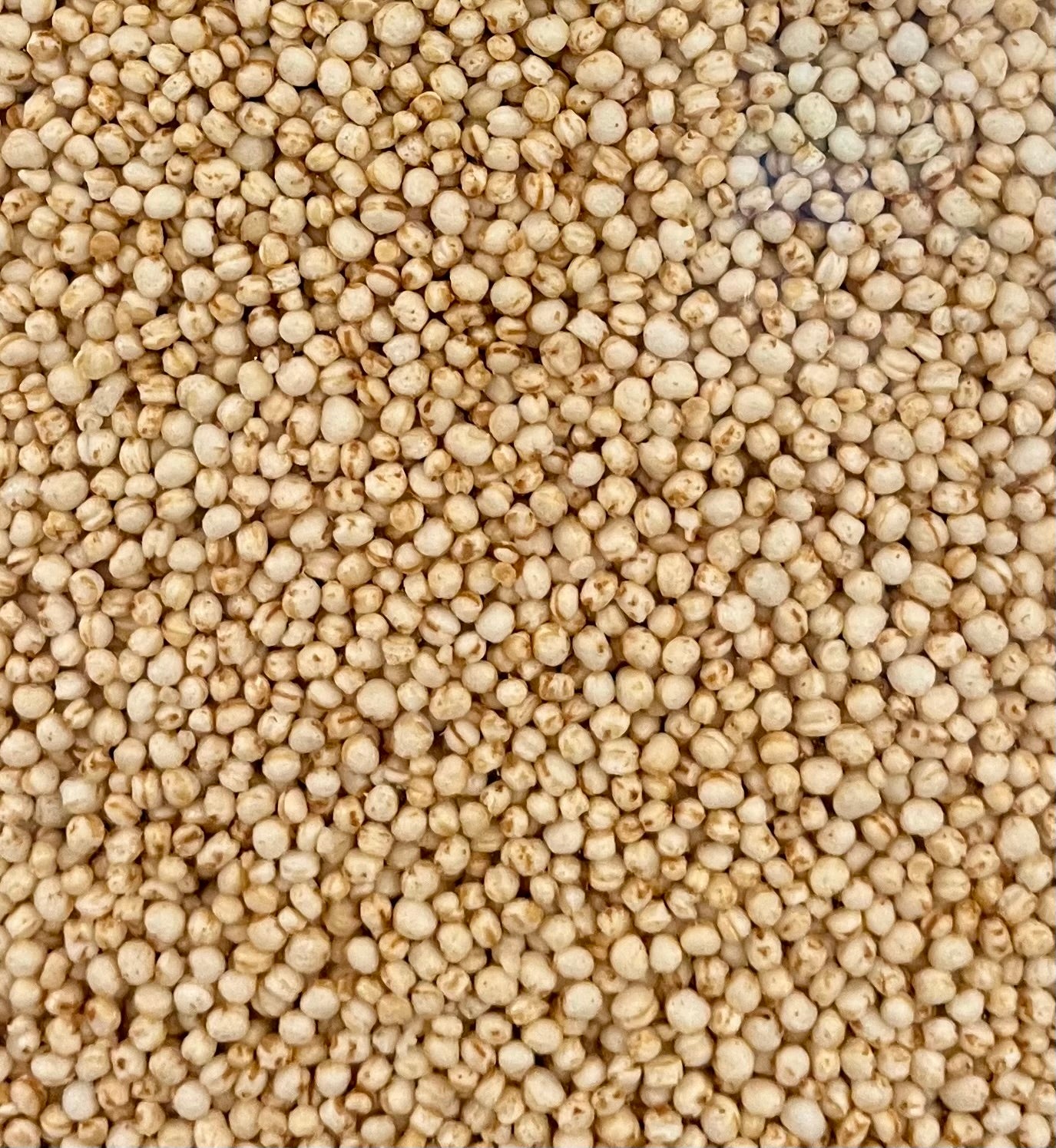 Organic Quinoa Puffs - 100g
