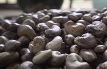 Organic Whole Cashew Nuts - 100g
