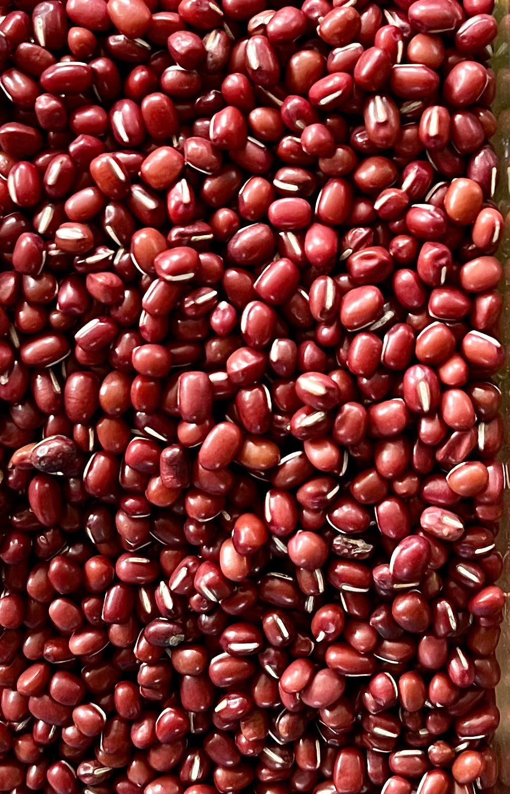Organic Red Aduki Beans - 100g