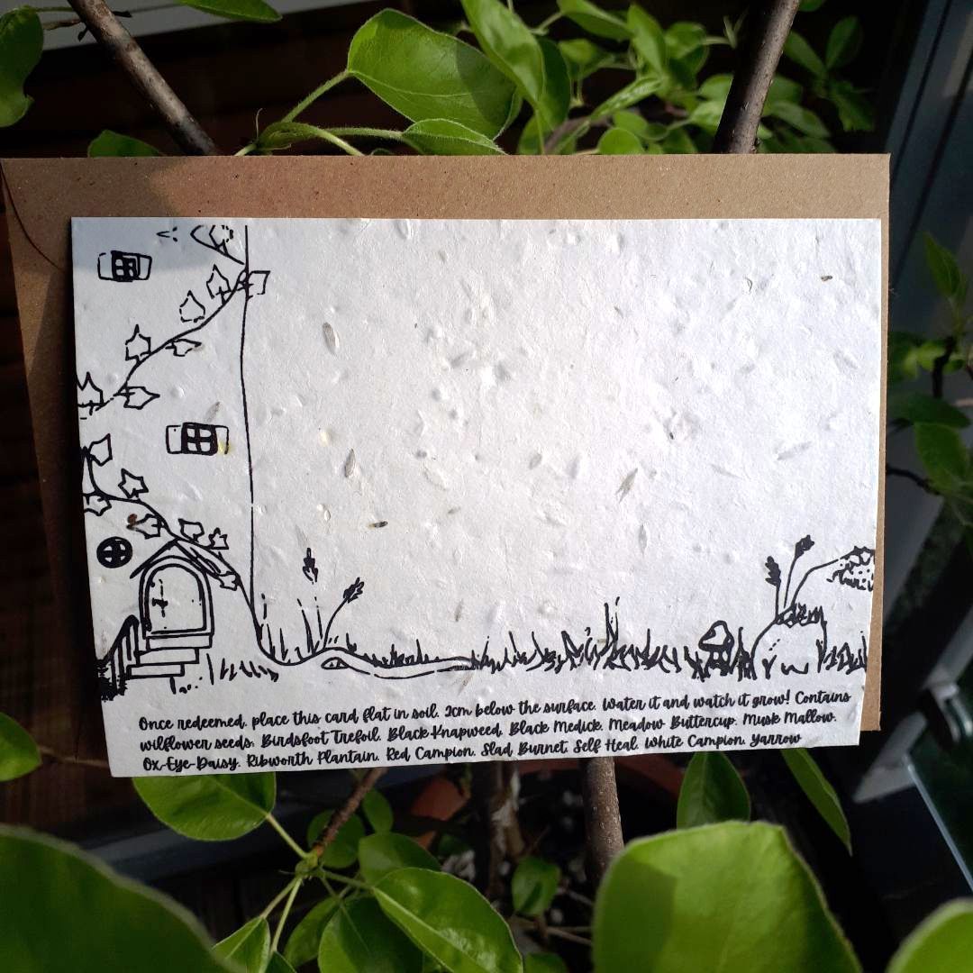 Plantable experience gift card - jiminy eco-toys