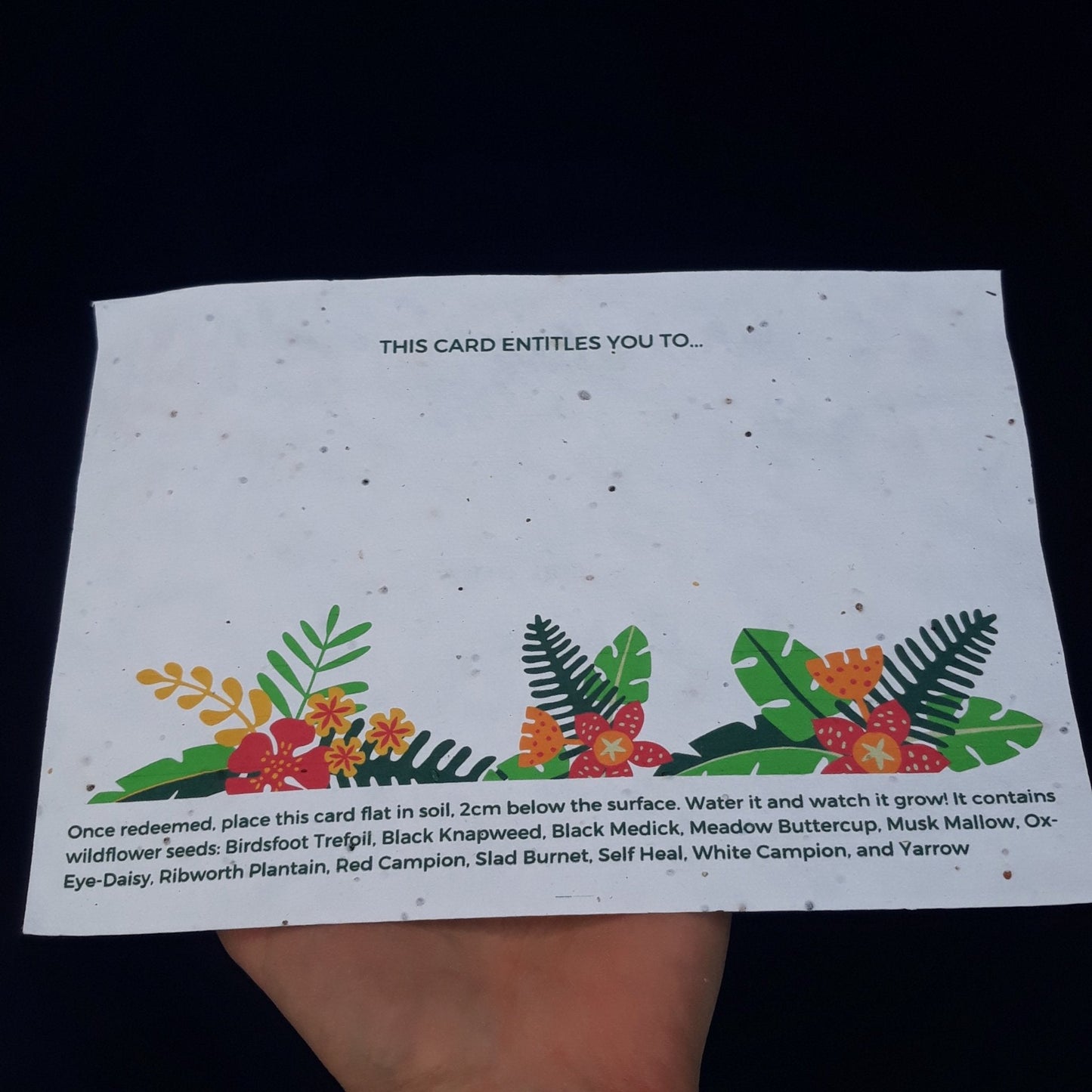 Plantable experience gift card - jiminy eco-toys
