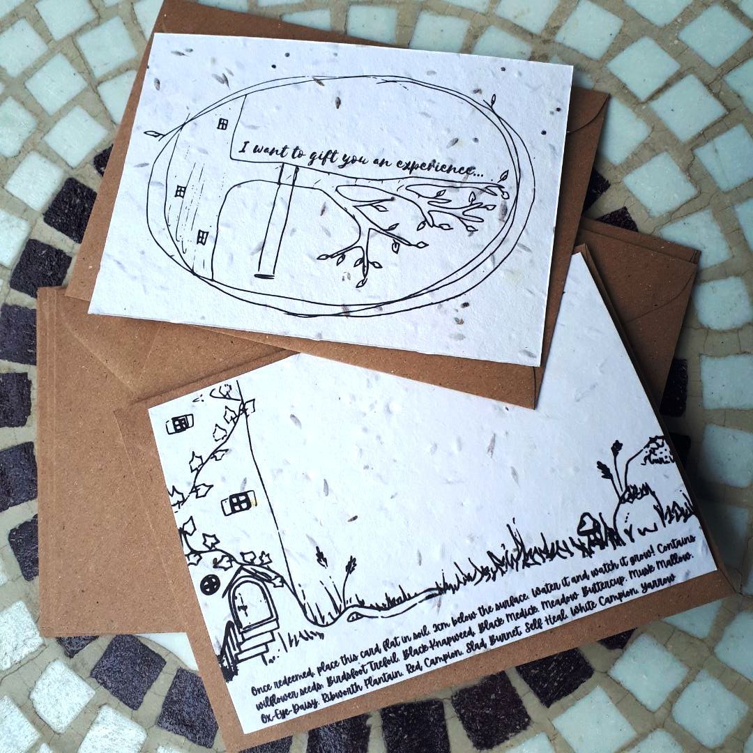 Plantable experience gift card - jiminy eco-toys