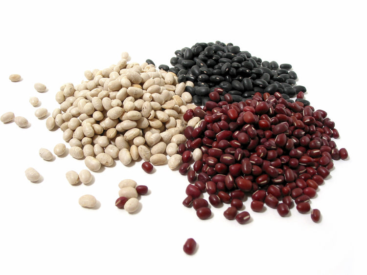 Legumes