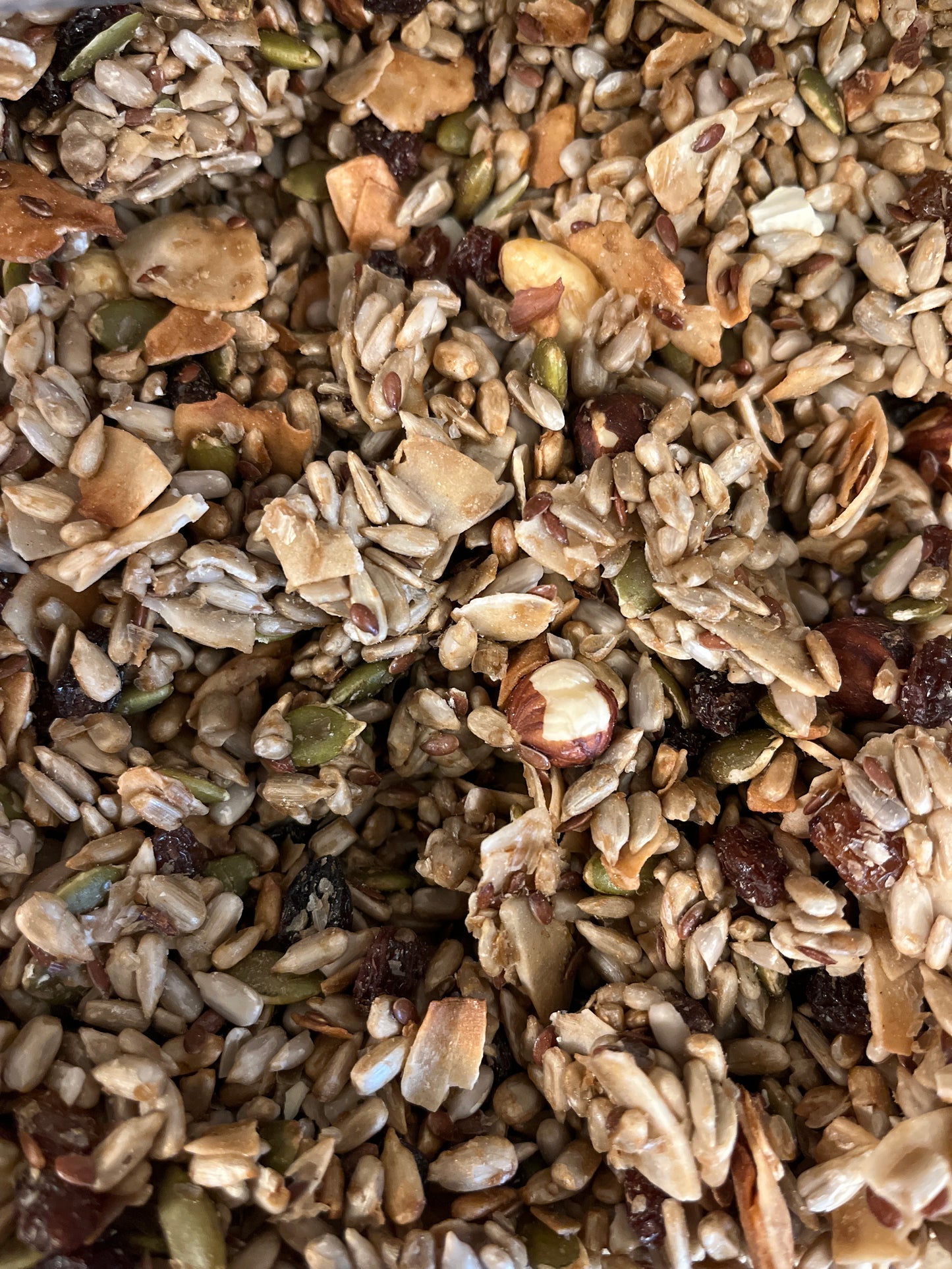 Organic Grain-Free Granola  with Fruit - 100g