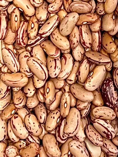 Organic Pinto Beans 100g