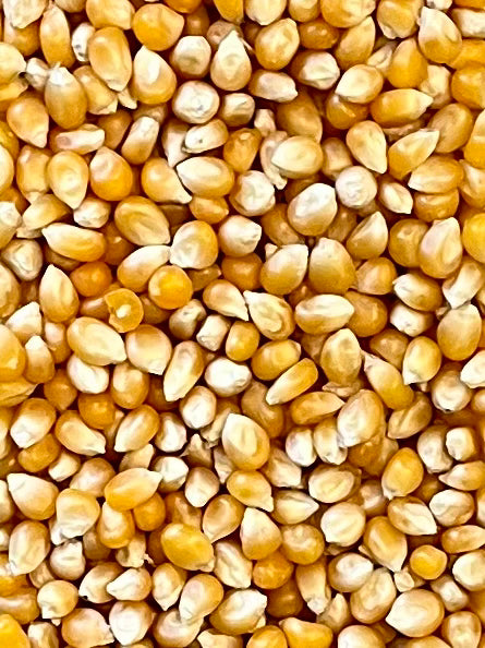 Organic Popcorn Kernels - 100g