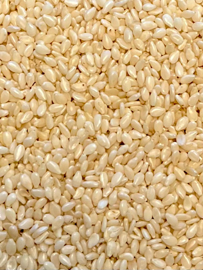 Organic Sesame Seeds 100g