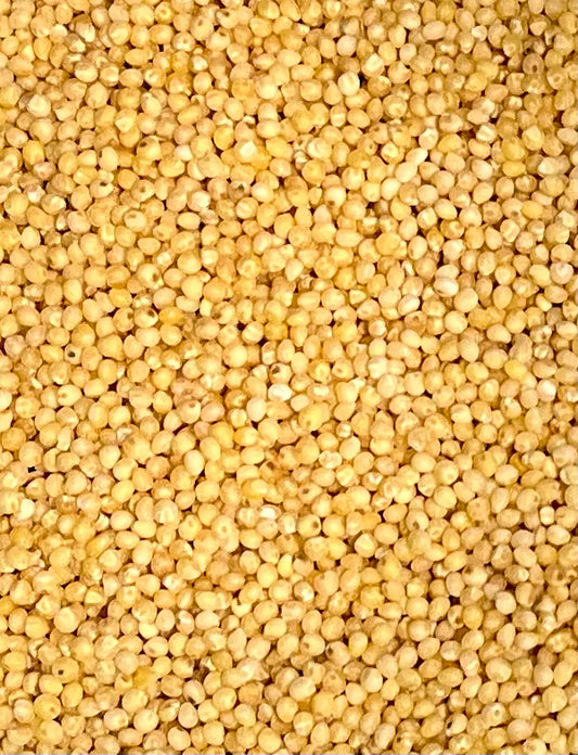 Organic Millet - 100g