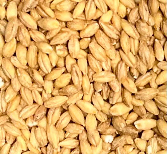 Organic Pearled Barley 100g