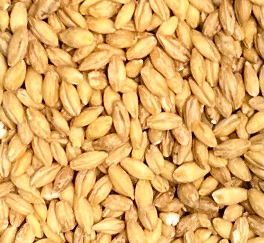 Organic Pearled Barley 100g