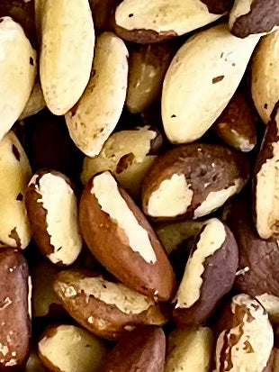 Organic Brazil Nuts - 100g