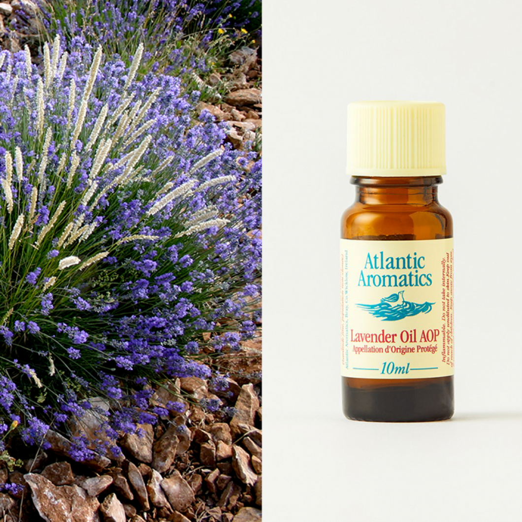 Organic Lavender Essential Oil  by Atlantic Aromatherapy  -10ml