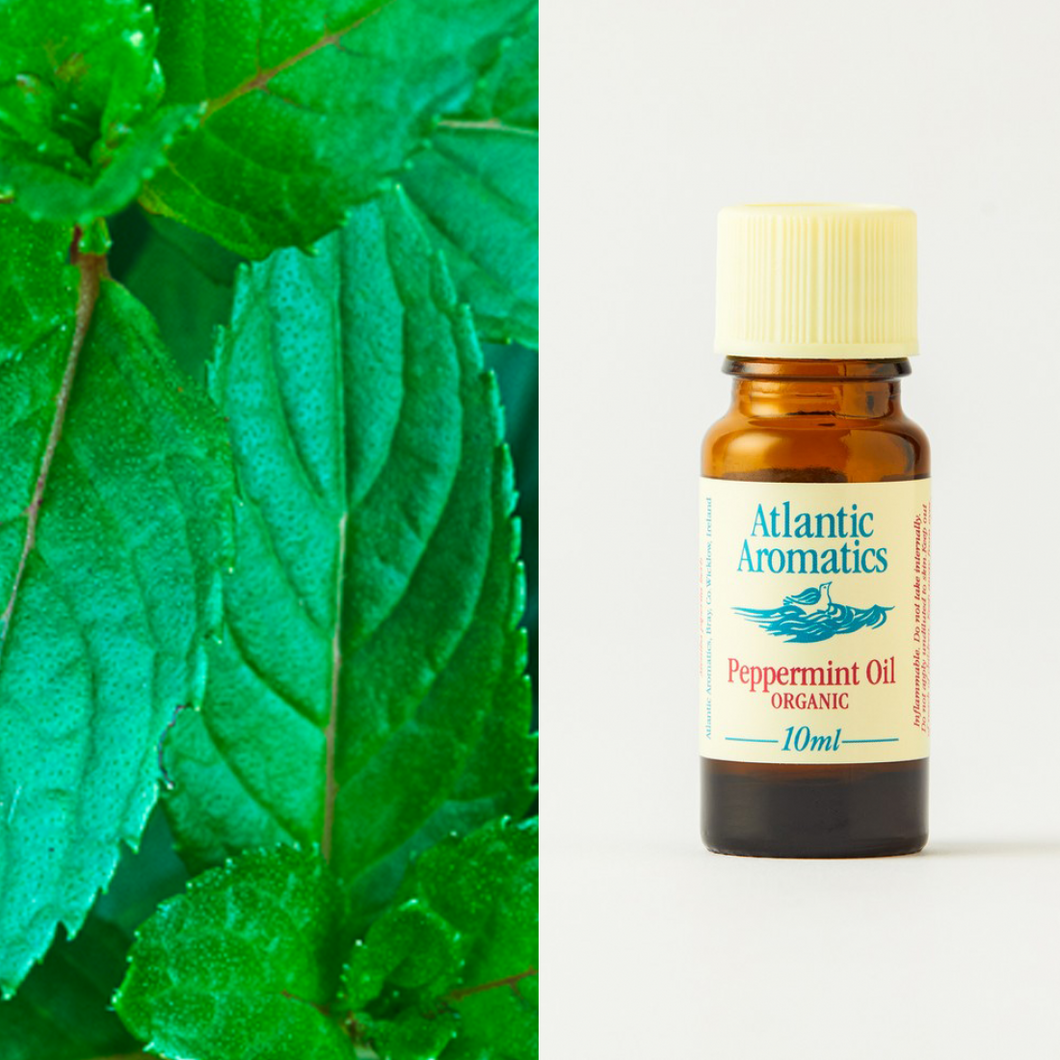 Organic Peppermint Essential Oil  by Atlantic Aromatherapy  -10ml