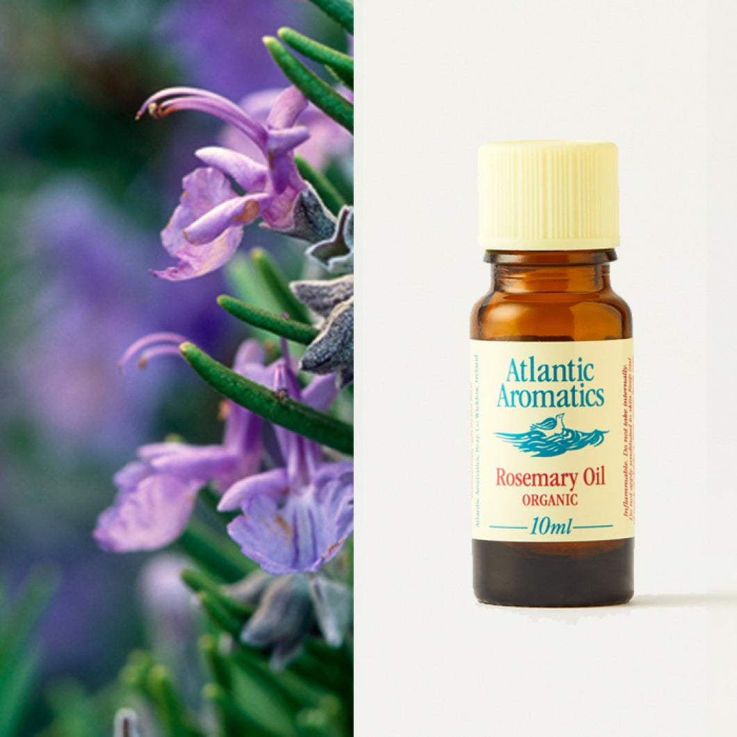 Rosemary Essential Oil  by Atlantic Aromatics -10ml