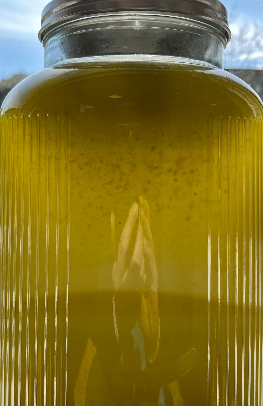 Italian Extra Virgin Olive Oil, Organic  - 250ml refill