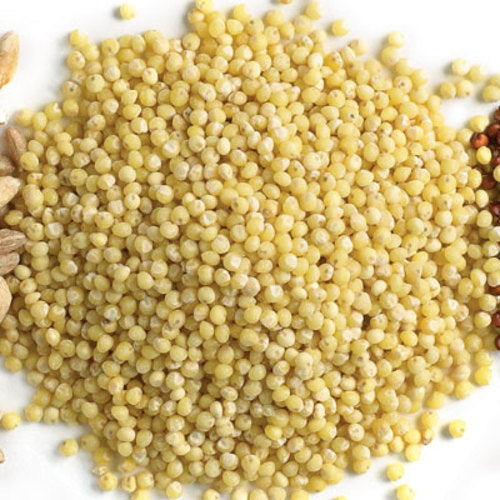 Organic Millet - 100g