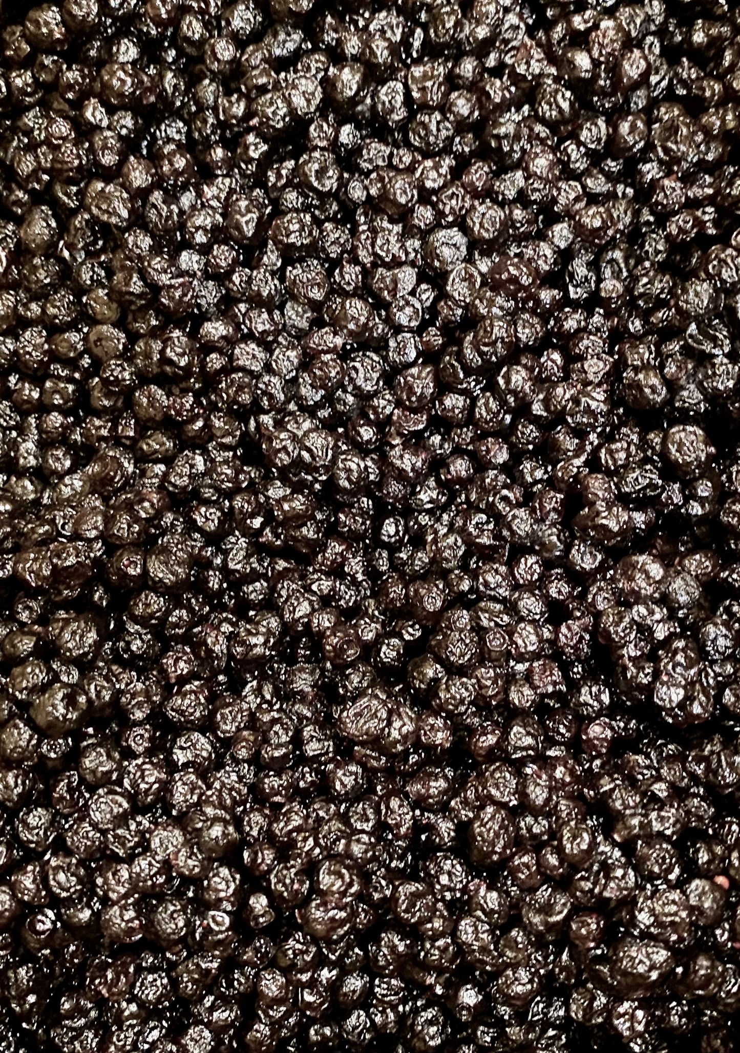 Organic Dried Blueberries - 100g