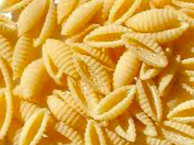 Organic Gnocchetti Sardi Pasta - 100g