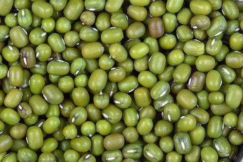 Organic Mung Beans 100g