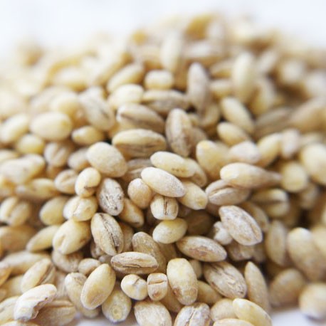 Organic Pearled Barley 100g