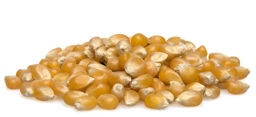 Organic Popcorn Kernels - 100g